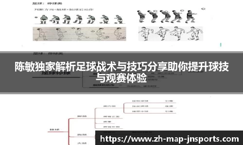 陈敏独家解析足球战术与技巧分享助你提升球技与观赛体验